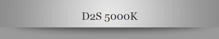 D2S 5000K
